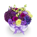 Box fialových květin